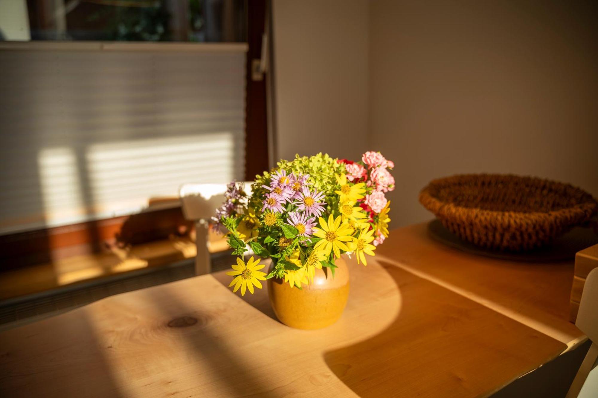 Haus Unterm Mammutbaum - Elberadweg Apartman Magdeburg Kültér fotó